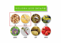 식품 안정성 레포트-16