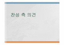 행정도시특별법(세종시)-11