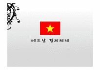 베트남의 시장경제체제모형-1