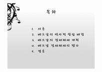 베트남의 시장경제체제모형-2