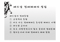 베트남의 시장경제체제모형-7