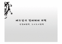 베트남의 시장경제체제모형-8