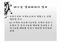 베트남의 시장경제체제모형-19