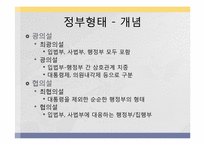 정부형태 레포트-4