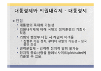 정부형태 레포트-11