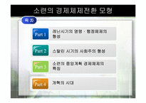 [경제체제론] 소련의 경제체제전환 모형-2