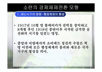 [경제체제론] 소련의 경제체제전환 모형-3
