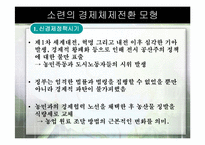 [경제체제론] 소련의 경제체제전환 모형-10