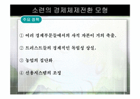 [경제체제론] 소련의 경제체제전환 모형-14