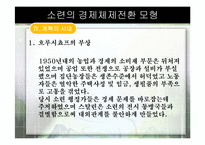 [경제체제론] 소련의 경제체제전환 모형-19
