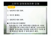 [경제체제론] 소련의 경제체제전환 모형-20