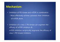 [약품분자생물학] PI-103 which inhibits both PI3 kinase & mTOR in malignant glioma-6