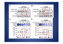 [약품분자생물학] PI-103 which inhibits both PI3 kinase & mTOR in malignant glioma-10