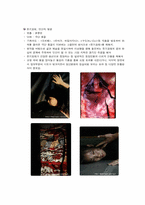 돈 키호테 작품분석-17
