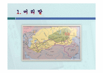 고려의 대몽항쟁(對蒙抗爭)-3