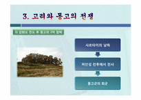 고려의 대몽항쟁(對蒙抗爭)-11