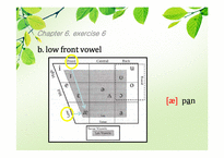 [영어학개론] Chapter 6. Phonetics -Exercise 2, 5, 6, 9, 11-12