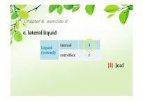 [영어학개론] Chapter 6. Phonetics -Exercise 2, 5, 6, 9, 11-13