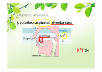 [영어학개론] Chapter 6. Phonetics -Exercise 2, 5, 6, 9, 11-19
