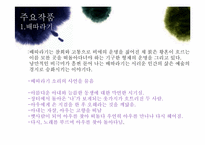 [현대문학] 김동인의 광염소나타-6