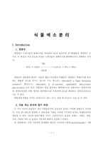 [생물실험] 식물색소분리-1