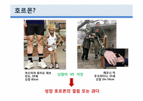 [생물학] 동물호르몬-2