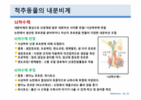 [생물학] 동물호르몬-8