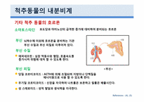 [생물학] 동물호르몬-10