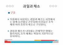 [식품과 조리] 10장 섬유질과 식물성 식품-2