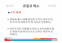 [식품과 조리] 10장 섬유질과 식물성 식품-3