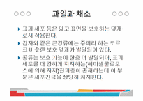 [식품과 조리] 10장 섬유질과 식물성 식품-4