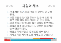 [식품과 조리] 10장 섬유질과 식물성 식품-5