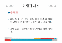 [식품과 조리] 10장 섬유질과 식물성 식품-6