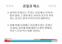 [식품과 조리] 10장 섬유질과 식물성 식품-7