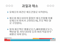 [식품과 조리] 10장 섬유질과 식물성 식품-8