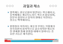 [식품과 조리] 10장 섬유질과 식물성 식품-11