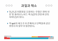 [식품과 조리] 10장 섬유질과 식물성 식품-13
