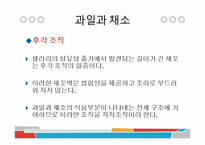 [식품과 조리] 10장 섬유질과 식물성 식품-14