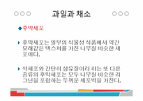 [식품과 조리] 10장 섬유질과 식물성 식품-15