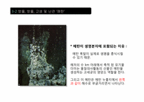 [생명과학] 생명분자 -구조에서 기능까지-5