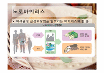 [식품미생물학] 최근 미생물에 의한 식품위해 사례 조사 및 예방방안-8