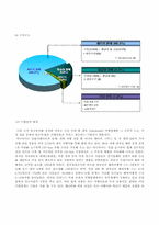 [조직이론] 하나투어 기업 분석-9