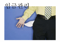 [인적자원관리] 삼성전자와 LG전자의 임금자원 관리-2