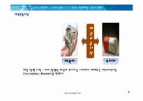 [금융기관경영론] 후순위채권 투자의 이해-6