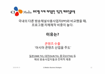 CJ 미디어의 사업 전략과 미디어법-12