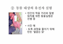 [질병과노화의비밀] 건강과 장수를 위한 유전자 조작(우생학)이 미치는 영향-12