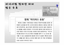 [공공정책론] 미디어법 개정논란에 관한 고찰-12