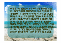 [사회계층론] 군 가산점제도에 관한 고찰-6
