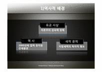 [중국정치] 중국 공산당에 관한 고찰(구조적인 문제와 국민당, 공산당의 비교)-6
