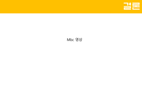 [여론과대중매체] 촘스키의 시각으로 본 미디어 법-16